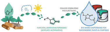 Graphical abstract: Waterborne polymers and coatings from bio-based butenolides