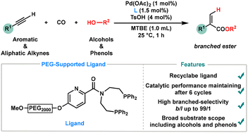 Graphical abstract: Recyclable picolinamide-derived ligand-controlled branched-selective hydroesterification of alkynes with alcohols and phenols