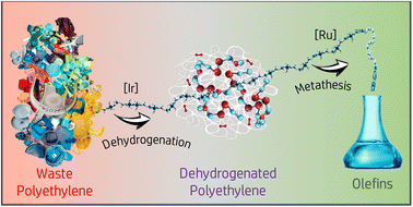 Graphical abstract: Depolymerization of waste polyethylene to linear alkenes via sequential dehydrogenation and metathesis