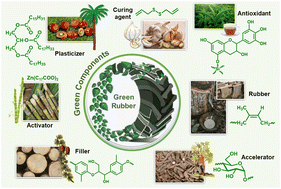 Graphical abstract: Towards developing fully sustainable elastomers: the role of chemistry