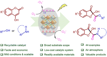 Graphical abstract: Sustainable photocatalytic synthesis of 2-hydroxybenzofuran-3(2H)-ones using lead-free Cs2AgBiBr6 nanocrystals