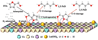 Graphical abstract: Rational design of the La-doped CuCoAl hydrotalcite catalyst for selective hydrogenation of furfuryl alcohol to 1,5-pentanediol