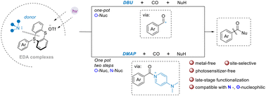Graphical abstract: Controllable tertiary amine-promoted photoactivation metal-free carbonylation of aryl sulfonium salts to aryl carboxylic acid derivatives