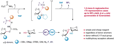 Graphical abstract: 1,2-trans and regioselective glycosylation of multihydroxy sugars via a simple yet synergistic combination of BF3·Et2O in THF