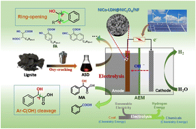 Graphical abstract: Electro-oxidative upgrading of lignite alkali-soluble derivatives for clean production of fulvic acids using NiCo-LDH@NiC2O4/NF anode
