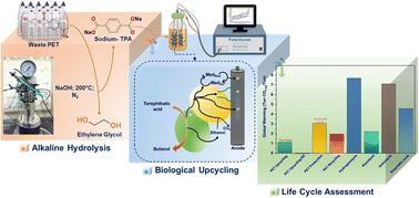 Graphical abstract: Tandem chemical hydrolysis and bioelectrochemical upcycling of waste polyethylene terephthalate (PET) for sustainable biobutanol and ethanol production ensuring plastics circularity