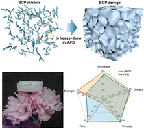 Graphical abstract: A scalable, efficient, and facile ambient drying approach for preparing low shrinkage, compressive, and superporous nano-cellulose-based aerogels via a physicochemical crosslinking strategy