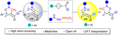 Graphical abstract: Amine-promoted three-component cycloaddition of bicyclo[1.1.0]butanes with hydroxylamine and polyformaldehyde: expedient access to 2-oxa-3-azabicyclo[3.1.1]heptanes