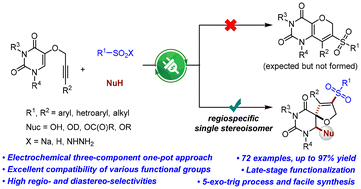 Graphical abstract: Electrochemical regioselective synthesis of sulfonyl 2,5-dihydrofuran-fused spiropyrimidines via multi-component radical cascade reactions
