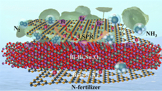 Graphical abstract: Plasmonic Bi-doped Bi-Bi2Sn2O7/Bi-g-C3N4 photothermal catalysis for nitrogen fixation