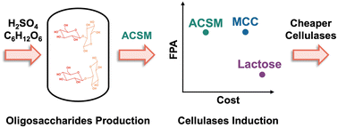 Graphical abstract: Developing a soluble inducer for robust production of cellulases by Trichoderma reesei through submerged fermentation