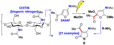 Graphical abstract: Electrochemical oxidation–cyclocondensation of chitin-derived 3-acetamido-5-acetylfuran (3A5AF) for the synthesis of 3-acetyl-4-acetamidopyrrolin-2-ones