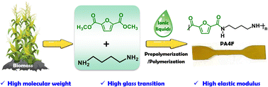 Graphical abstract: Efficient synthesis of high molecular weight semi-aromatic polyamides with biobased furans over metal-free ionic liquids