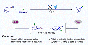 Graphical abstract: Iron-photocatalyzed desulfurizing chlorination with seawater