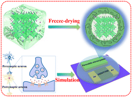 Graphical abstract: Ice-confined synthesis of lecithin-protected perovskite microcrystals for stable optical synapses