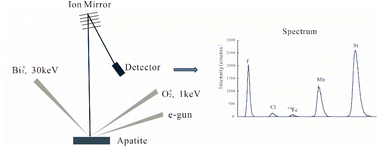 Graphical abstract: Quantitative accuracy assessment of trace elements and halogens in apatite by time-of-flight secondary ion mass spectrometry (TOF-SIMS)
