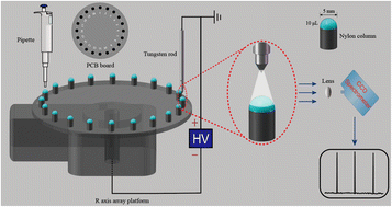 Graphical abstract: Development of a droplet cathode glow discharge excitation source for high throughput detection of Li, Ca and K in serum samples