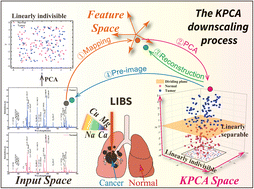 Graphical abstract: Precise and rapid diagnosis of lung cancer: leveraging laser-induced breakdown spectroscopy with optimized kernel methods in machine learning