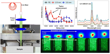 Graphical abstract: Measurement of uranium in a glass matrix based on spatial confinement using fiber-optic laser-induced breakdown spectroscopy
