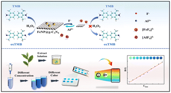 Graphical abstract: A portable smartphone platform with FeNPs@g-C3N4 nano-enzyme for visual and on-site sensing of F− and Al3+ in tea
