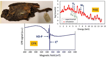 Graphical abstract: Identification, quantification and sourcing of fossil hydrocarbons in ancient Egyptian mummies by V and Ni trace elements