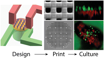 Graphical abstract: Integrated biocompatible 3D printed isoporous membranes with 7 μm pores