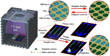 Graphical abstract: Distance-based paper analytical device for multiplexed quantification of cytokine biomarkers using carbon dots integrated with molecularly imprinted polymer