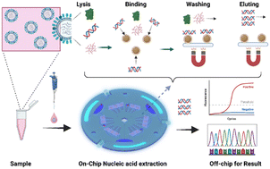 Graphical abstract: Multiple on-line active valves based centrifugal microfluidics for dynamic solid-phase enrichment and purification of viral nucleic acid