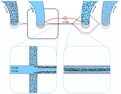 Graphical abstract: Concentration–polarization electroosmosis for particle fractionation