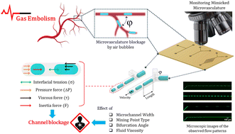 Graphical abstract: Investigation of air bubble behaviour after gas embolism events induced in a microfluidic network mimicking microvasculature