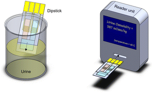 Graphical abstract: Urine osmolality assessment through the integration of urea hydrolysis and impedance measurement