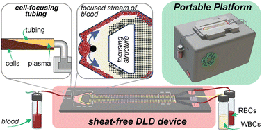 Graphical abstract: Portable platform for leukocyte extraction from blood using sheath-free microfluidic DLD