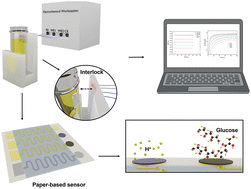 Graphical abstract: A paper-based dual functional biosensor for safe and user-friendly point-of-care urine analysis