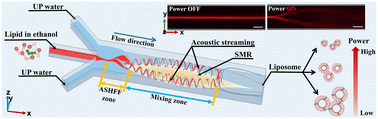 Graphical abstract: Microfluidic confined acoustic streaming vortex for liposome synthesis