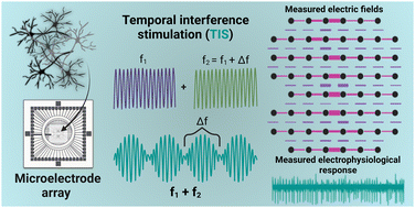 Graphical abstract: Electric field temporal interference stimulation of neurons in vitro