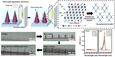 Graphical abstract: On-demand drug delivery bioelectronics through a water-processable low dimensional highly conductive MXene layer