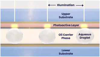 Graphical abstract: A programmable and automated optical electrowetting-on-dielectric (oEWOD) driven platform for massively parallel and sequential processing of single cell assay operations