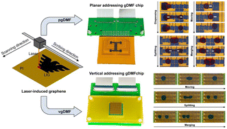 Graphical abstract: Laser-induced graphene-based digital microfluidics (gDMF): a versatile platform with sub-one-dollar cost