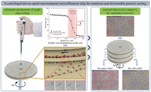 Graphical abstract: A centrifugal-driven spiral microchannel microfiltration chip for emulsion and deformable particle sorting