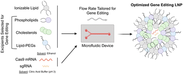 Graphical abstract: Optimized microfluidic formulation and organic excipients for improved lipid nanoparticle mediated genome editing