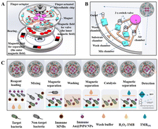 Graphical abstract: Multiplex nanozymatic biosensing of Salmonella on a finger-actuated microfluidic chip