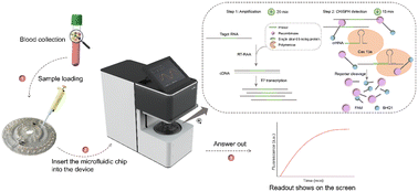 Graphical abstract: Portable all-in-one microfluidic system for CRISPR–Cas13a-based fully integrated multiplexed nucleic acid detection