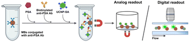 Graphical abstract: Single-molecule microfluidic assay for prostate-specific antigen based on magnetic beads and upconversion nanoparticles