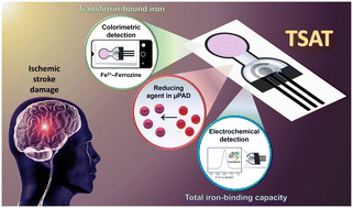 Graphical abstract: A dual colorimetric-electrochemical microfluidic paper-based analytical device for point-of-care testing of ischemic strokes