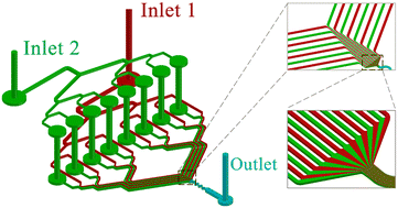 Graphical abstract: Branch-convergence structure based on double-layer chip: a universal method for enhancing microfluidic mixing