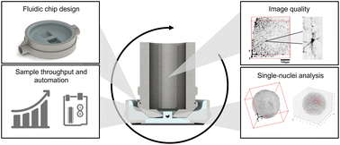 Graphical abstract: An agarose fluidic chip for high-throughput in toto organoid imaging