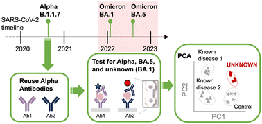 Graphical abstract: A novel immunoassay technique using principal component analysis for enhanced detection of emerging viral variants