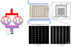 Graphical abstract: SUPERCELLS: a novel microfluidic reactor architecture for ultra-fast sequential delivery of chemical reagents