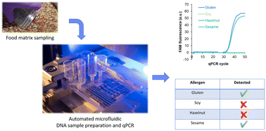 Graphical abstract: An integrated microfluidic platform for on-site qPCR analysis: food allergen detection from sample to result