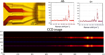Graphical abstract: Flow cell for high throughput Raman spectroscopy of non-transparent solutions